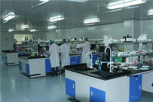 天雅酵素原液貼牌加工 專業(yè)賦能，助您打造高品質(zhì)酵素產(chǎn)品